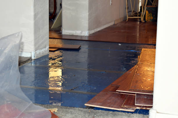 Professional Water Damage Restoration technician working in Comfort, TX